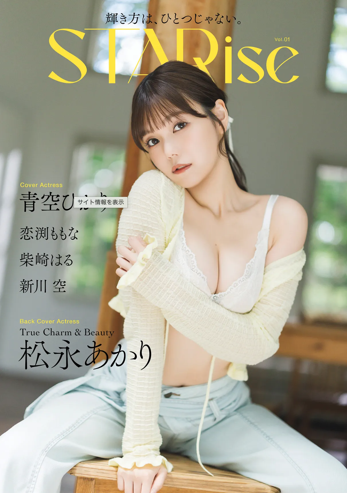 STARise Vol.1 サンプル
