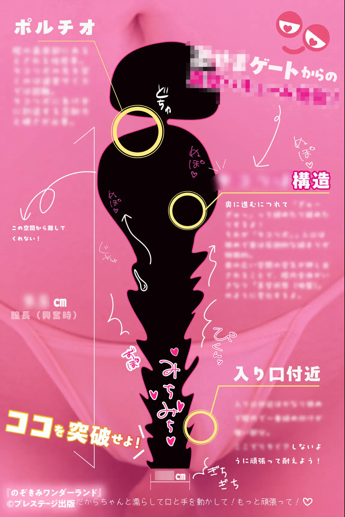 のぞきみワンダーランド FANZA限定特別カット付き サンプル